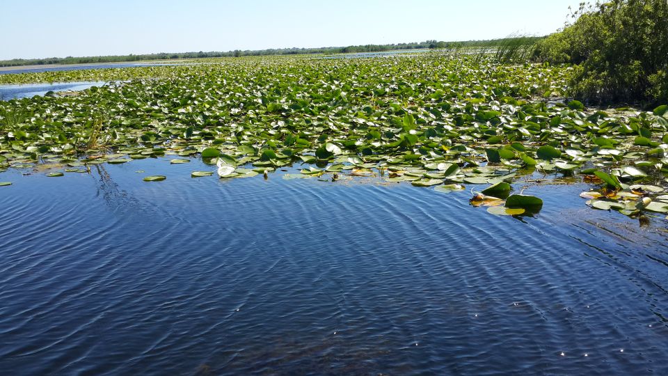 From Bucharest: 3-Day Danube Delta Birdwatching Private Tour - Accommodation Details