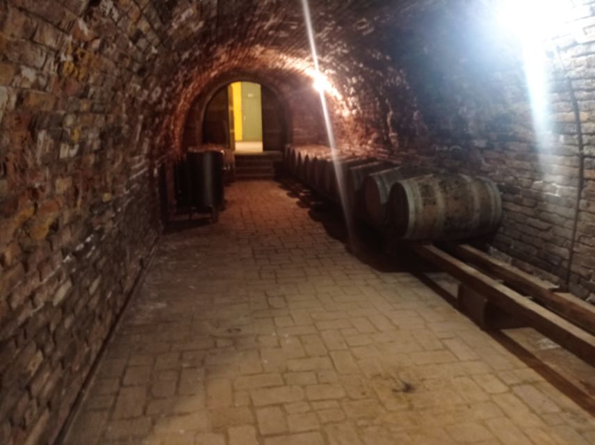 From Budapest: Wine &History Day Tour With Lunch and Palinka - Tour Highlights