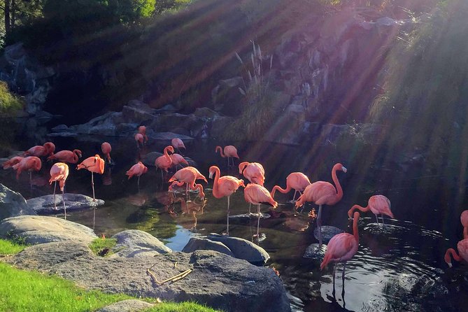 From Buenos Aires: Temaiken Biopark With Transfer and Tickets - Park Overview