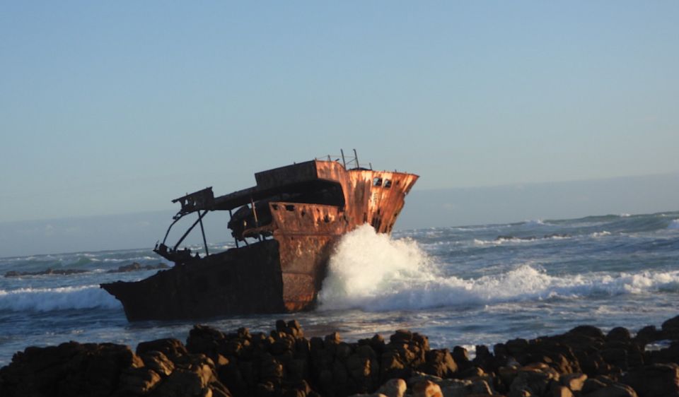 From Cape Town: Full-Day Cape Agulhas Private Tour - Included Features