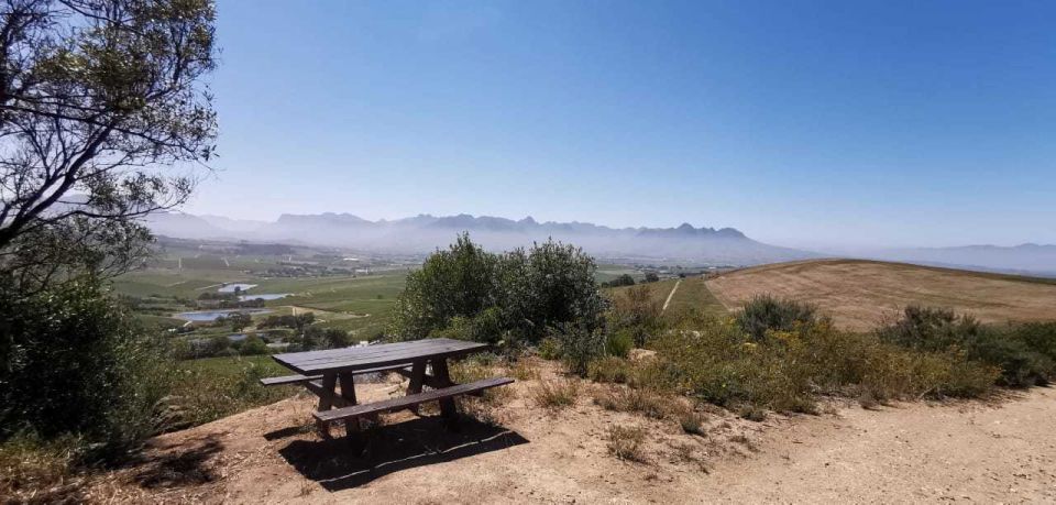 From Cape Town: Half-Day Winelands E-Bike Tour - Highlights of the Half-Day Tour