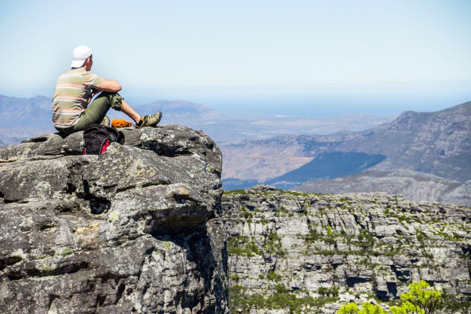 From Cape Town: Table Mountain Penguins & Cape Point Tour - Inclusions and Exclusions