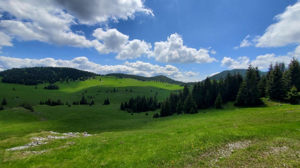 From Cluj-Napoca: Carpathian Mountains Guided Scenic Hike - Food and Amenities