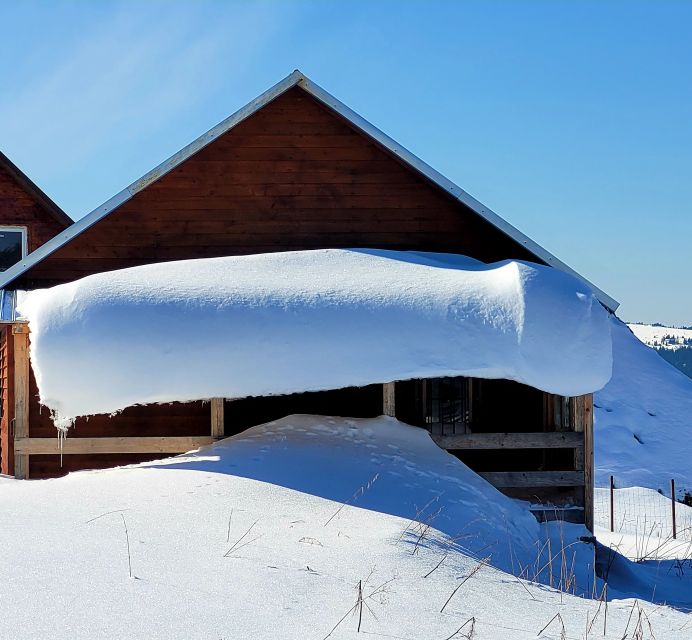 From Cluj: Winter Walking Trip on the Great Mountain - Logistics and Inclusions