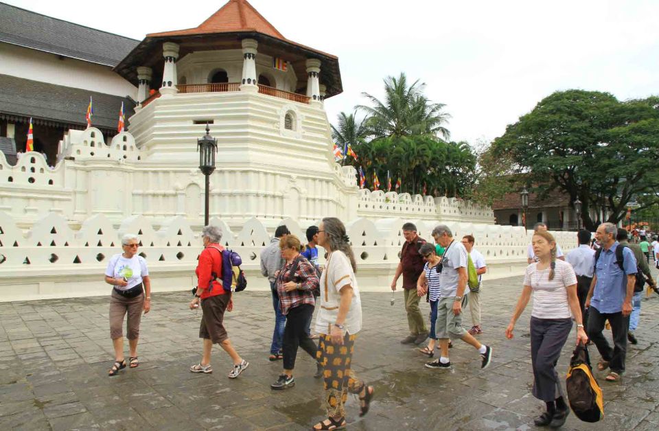 From Colombo: 2-Day All-Inclusive Kandy & Nuwara Eliya Tour - Daily Activities