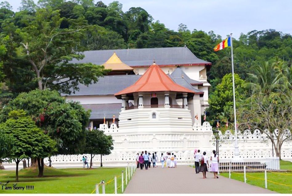 From Colombo/Negombo: Full Day Tour to Kandy & Pinnawala - Peradeniya Botanical Gardens