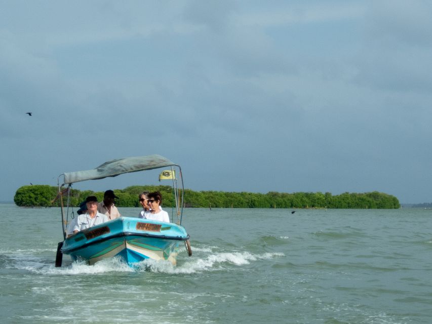 From Colombo: Negombo Lagoon (Mangrove )Boat Excursion - Highlights and Activities