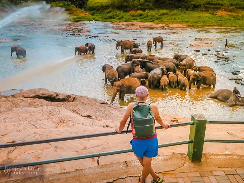 From Colombo: Pinnawala Elephant Orphanage & Kandy Day Tour - Pickup and Drop-off Locations