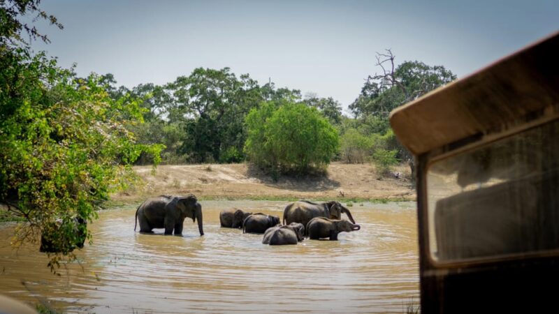 From Colombo: Sri Lanka Heritage 5-Day Tour of Sri Lanka - Major Attractions