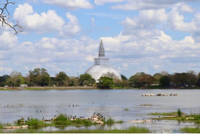 From Dambulla: Guided Tour to Ancient City of Anuradhapura - Transportation and Pickup Details