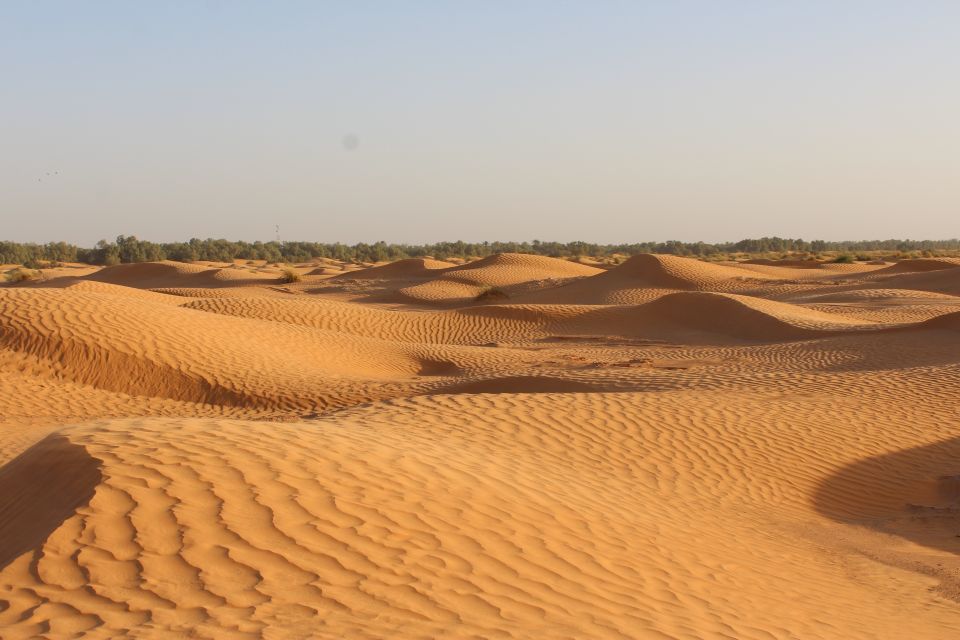 From Djerba: Full-Day Ksar Ghilane Hot Spring and Villages - Transportation and Logistics