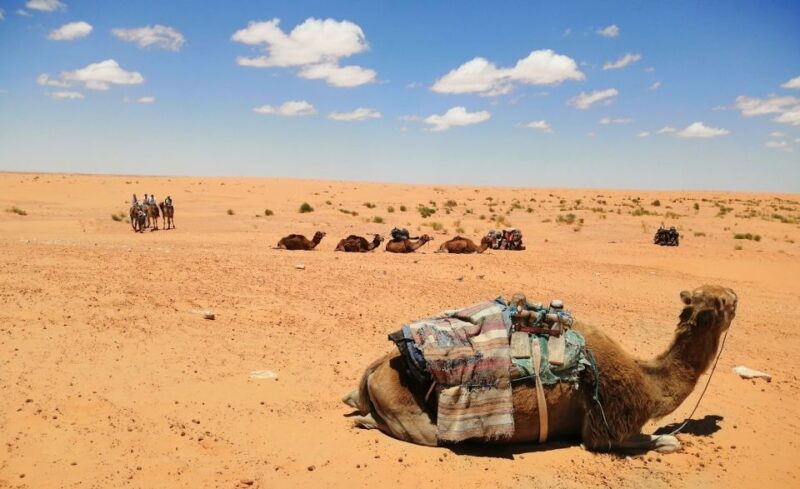 From Djerba Midun: 2-Day Desert and Ancient Cottage Tour - Accommodation at Ksar Jouamaa