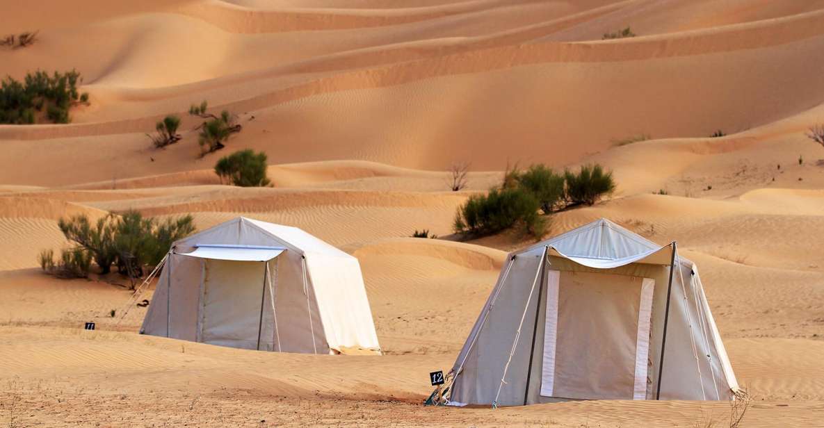 From Douz: Overnight Safari in Tunisian Sahara Desert - Itinerary: Day 1