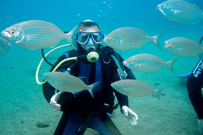 From Dubai: Discovery Scuba Diving Trip in Fujairah - Health and Safety Requirements