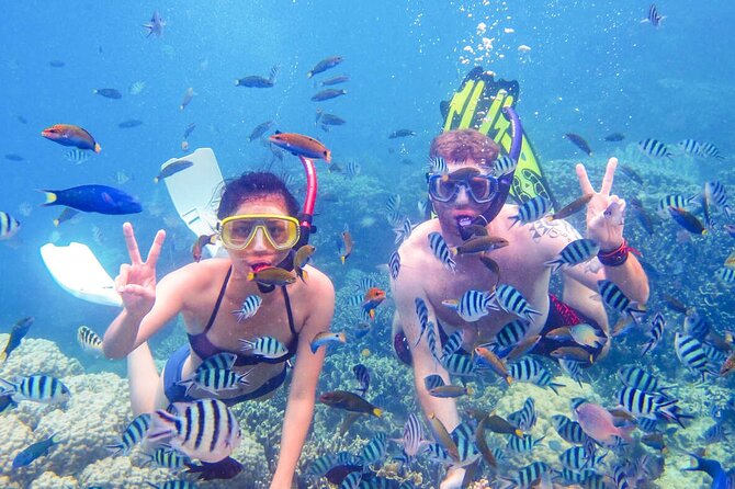 From Dubai: Snorkeling Trip in Fujairah - Booking and Cancellation Details
