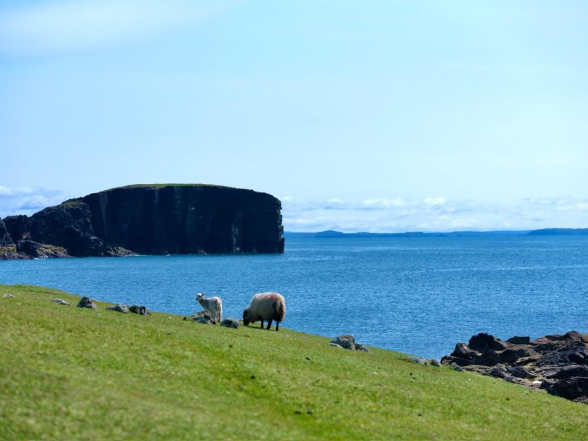 From Edinburgh: 6-Day Shetland & Nothernmost Explorer - Inclusions and Accommodations