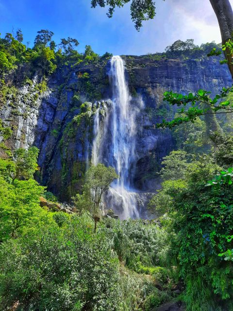 From Ella: Diyaluma Waterfall & Natural Pool Bath With Lunch - Experience Highlights