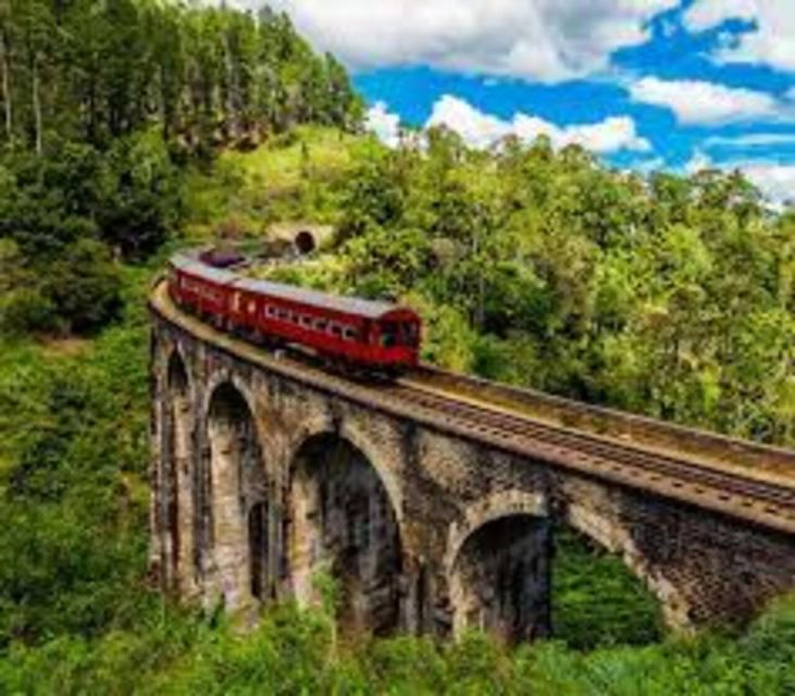 From Ella:Nine Arch Bridge, Ella Rock,Little Adamspeak Tour - Ella Rock Trek