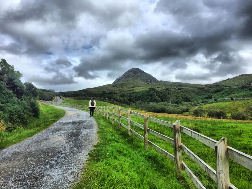 From Galway: Connemara and Connemara National Park Day Trip - Experience the Local Culture