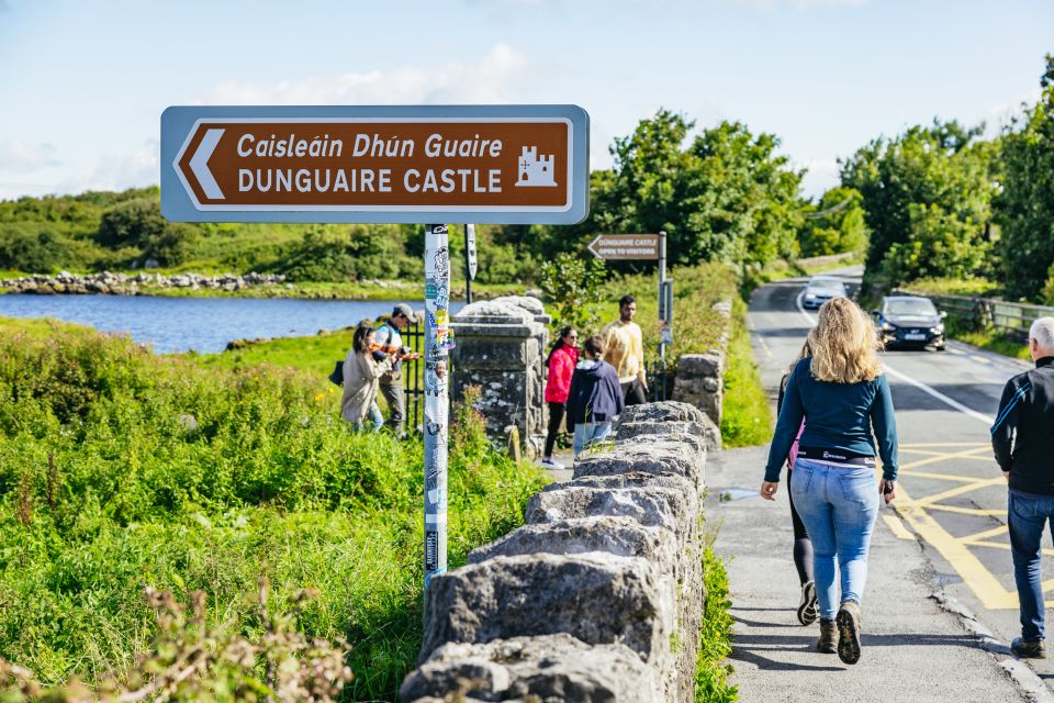 From Galway: Full-Day Cliffs of Moher & Burren Guided Tour - Tour Experience and Features