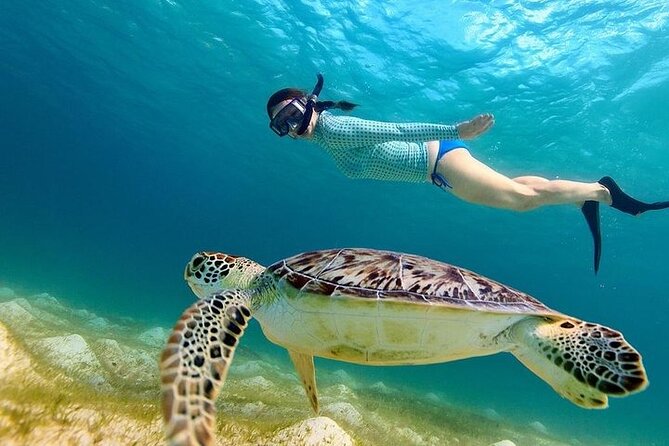 From Gili Trawangan: Island Hopping Snorkeling Trip - Customer Experiences