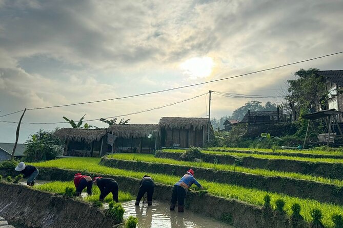 From Ha Noi: 3 Days and 2 Nights Sapa Trek With Local Guide - Health and Safety Considerations