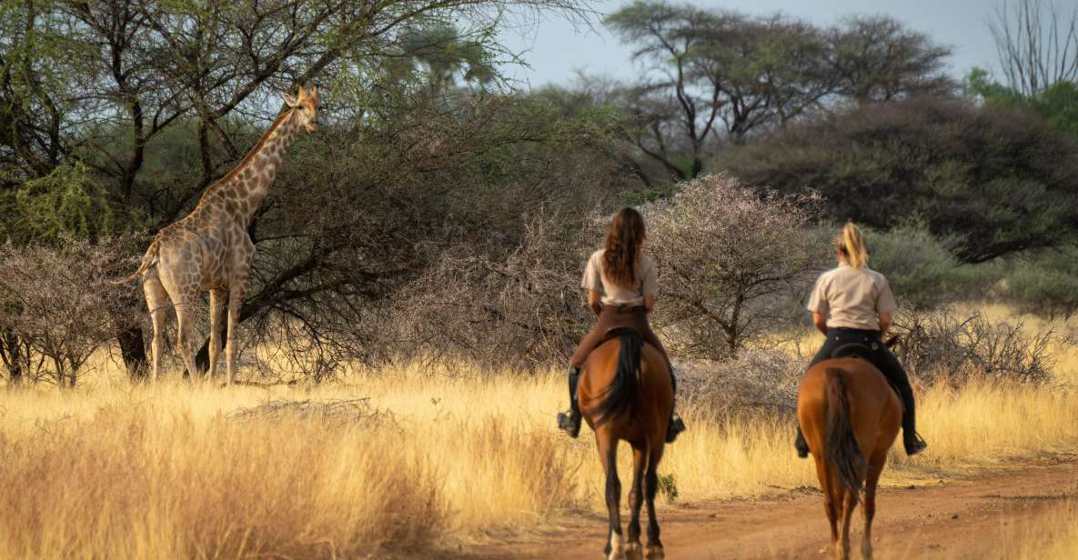 From Johannesburg: Horse-Riding Safari and Cable Car Tour - Horse-Riding Safari