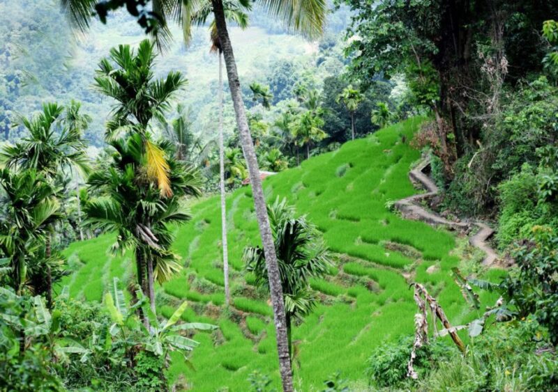From Kandy: Private Guided Hike to Heeloya - Cultural Experience