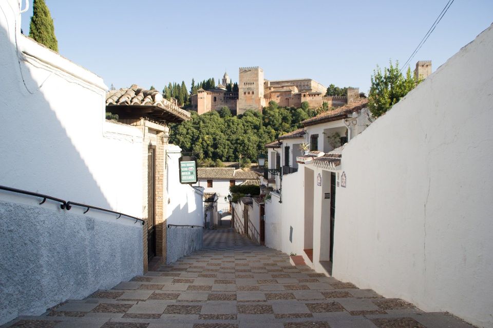 From Malaga and Costa Del Sol: Granada Day Trip - Architectural and Cultural Highlights