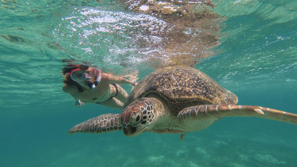 From Marsa Alam: Marsa Mubarak Sea Snorkeling Boat Trip - Snorkeling Experience