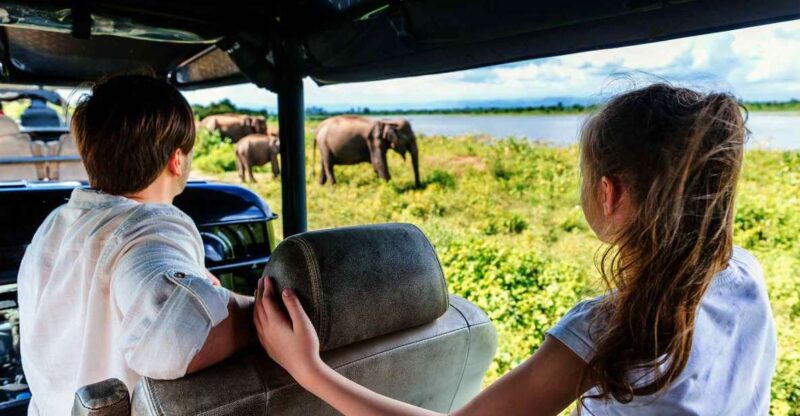 From Nuwara Eliya: Transfer to Tangalle W/ Udawalawe Safari - Diverse Wildlife Spotting