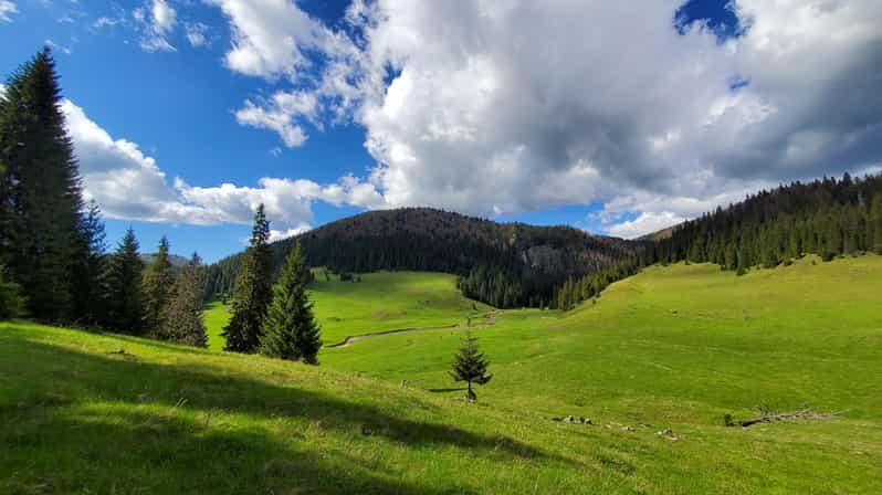 From Oradea:Carpathian Mountains Guided Scenic Hike - Inclusions and Local Cuisine