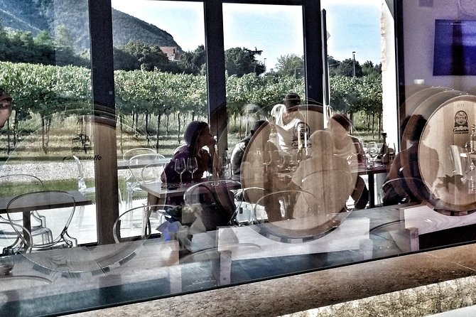 From Padua: Olive Oil & Wine in the Euganean Hills - Indulge in Wine Tasting