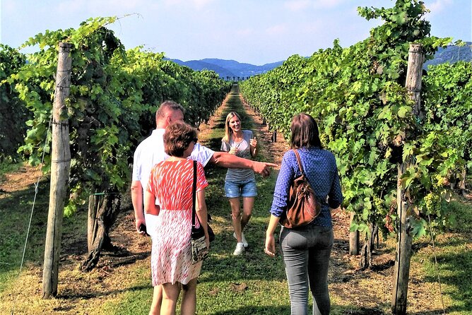 From Padua, Wine Tour in the Euganean Hills - Experiencing Traditional Italian Life