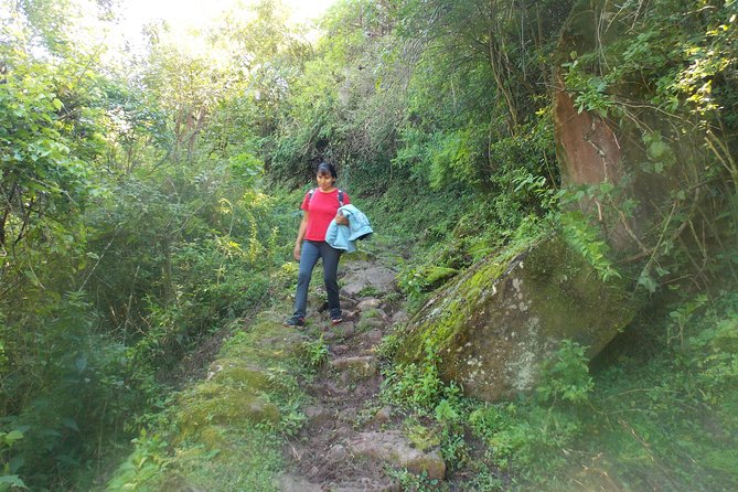 From Quebrada De Humahuaca to Yungas Jungle by the Qhapac Ñan - Cultural Immersion