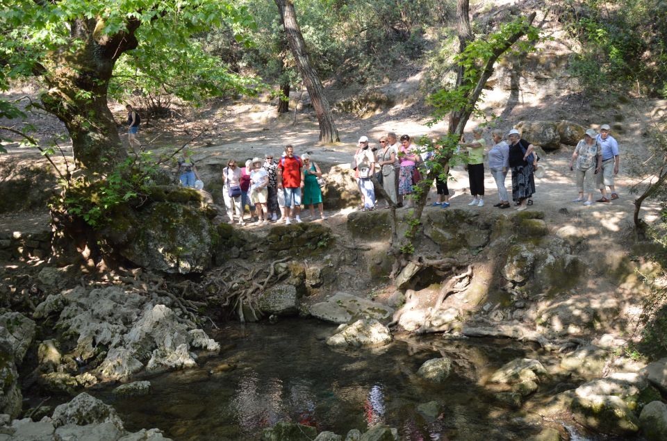 From Rhodes: Bus Tour to Lindos and the Seven Springs - Experience and Views