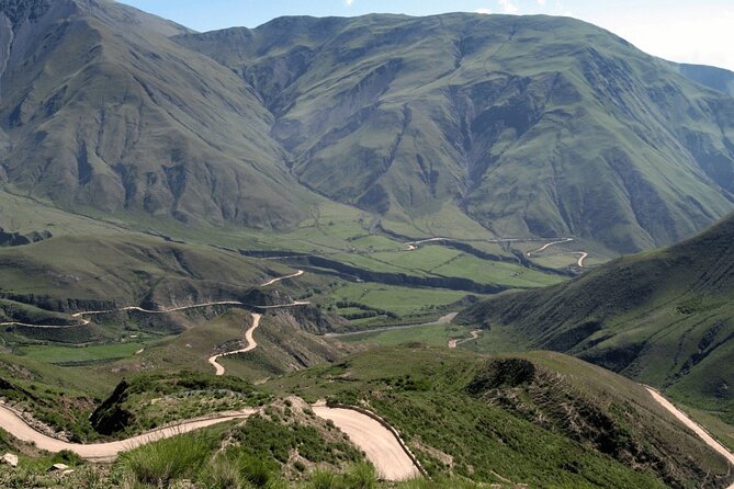 From Salta: Full-Day Tour to Cachi and Los Cardones National Park - Customer Experiences