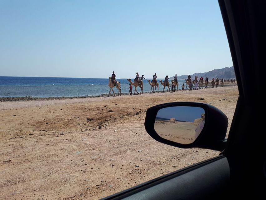 From Sharm El Sheikh: Full Day in Dahab With Snorkeling - Snorkeling Highlights