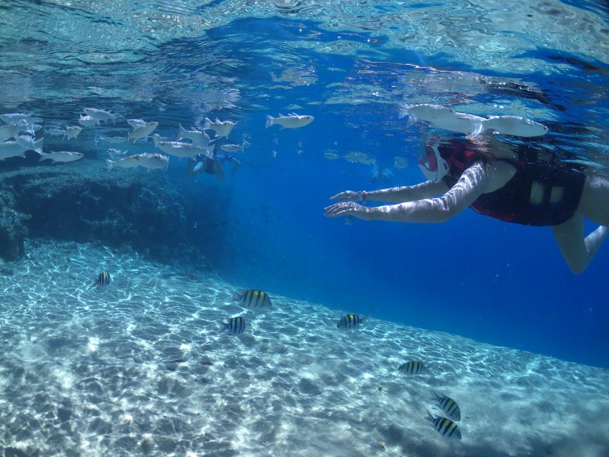 From Soma Bay and Makadi: Sharm El Naga Snorkeling Trip - Snorkeling Experience