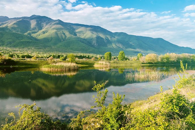 From Thessaloniki: Private Day Trip to Kerkini Lake - Optional Activities Offered