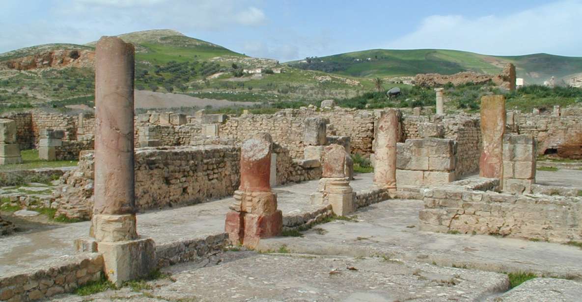 From Tunis: Bulla Regia & Dougga Archaeologial Tour & Lunch - Experience Highlights