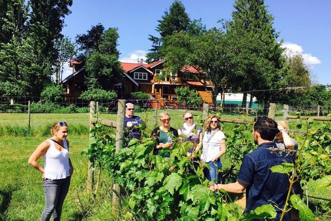 From Victoria to Cowichan Wine 6-Hour Guided Tour - Tour Itinerary