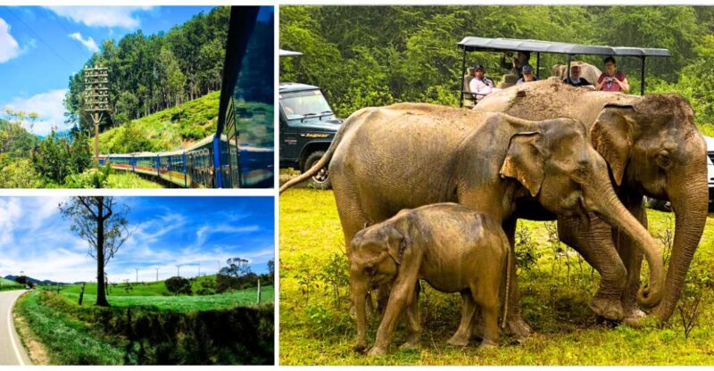 From Western Province: 2-Day Hill Country Highlights Trip - Sea Turtle Encounter