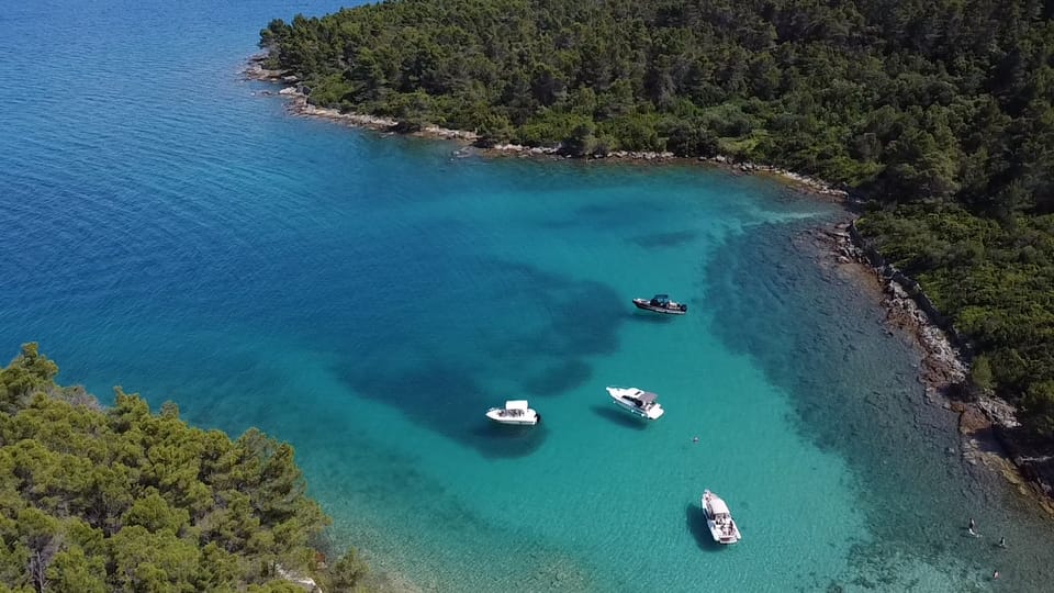 From Zadar: Ugljan, Galevac and Ošljak Islands Boat Tour - Customer Feedback