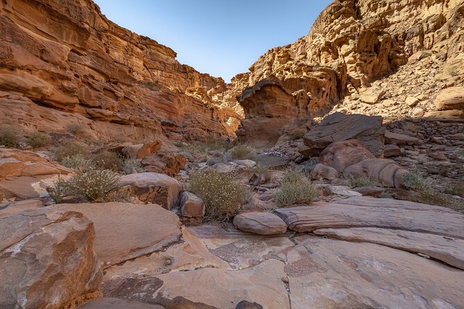 Full-Day 8 Hour Jeep Tour Into Wadi Rum Protected Area With Stay - Overnight at Bedouin Village
