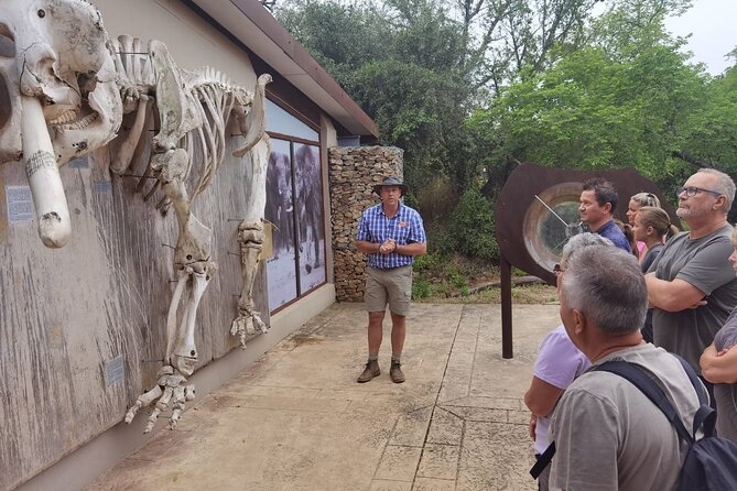 Full-Day Addo Elephant Park & Giraffe Walk Safari - Itinerary Highlights