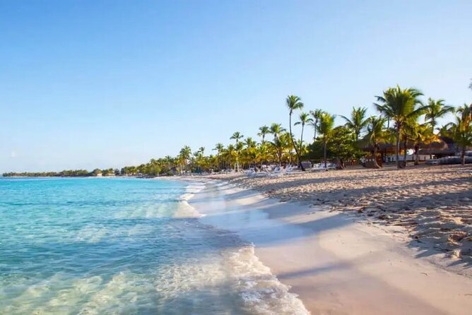 Full-Day at Catalina Island From Santo Domingo With Optional Snorkeling Included - Reviews and Feedback