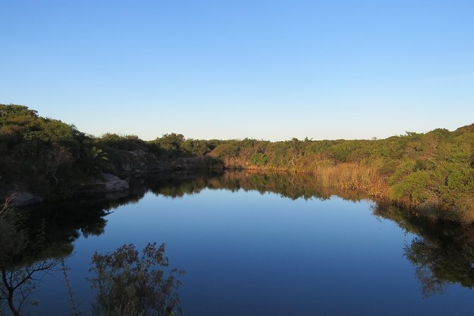 Full Day Birdwatching and Nature Tour - Reviews and Ratings