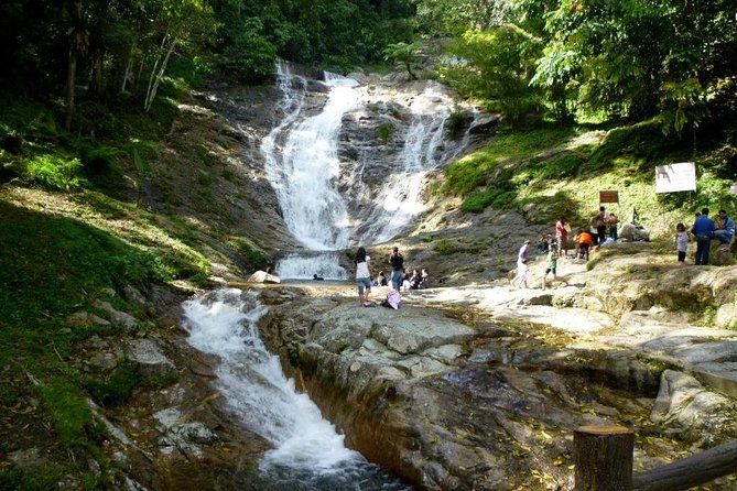Full-Day Cameron Highlands Day Trip From Kuala Lumpur - Tour Experience Highlights