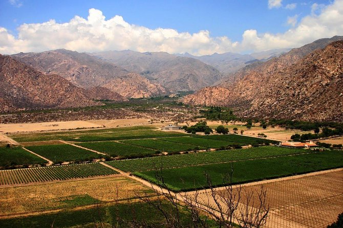 Full Day Excursion to Cafayate From Salta - Exploring Cafayate